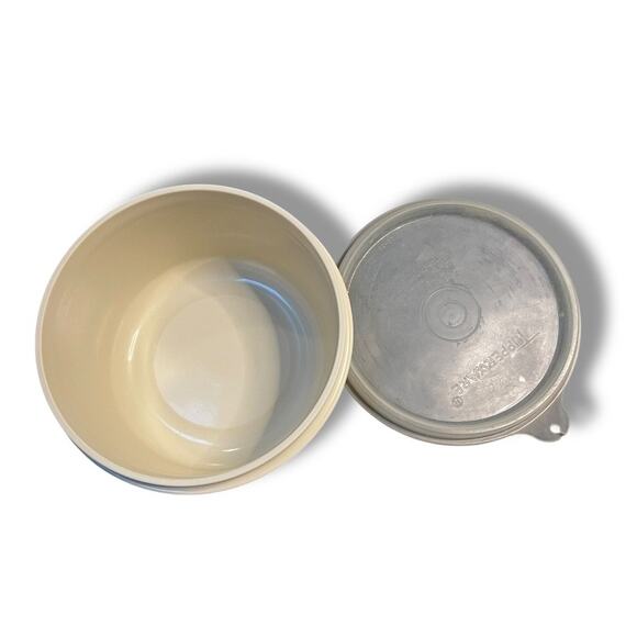 Vintage Tupperware Serving Center Divided Veggie Snack Dip Lid Almond 1665 1667 - Picture 6 of 10